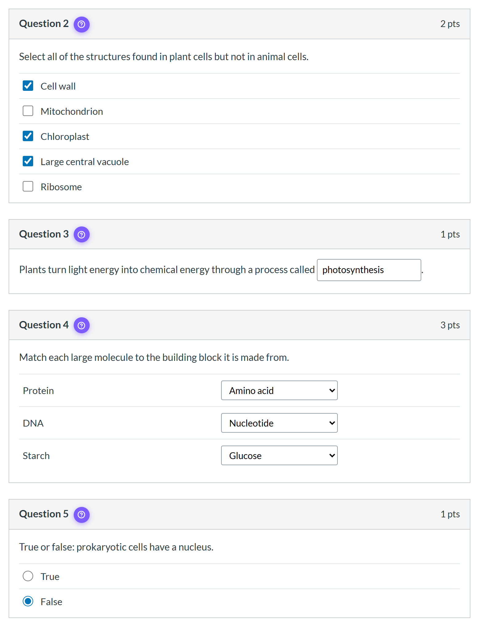 Four Canvas questions filled in by Solve All: checkboxes, a typed blank, three matching dropdowns and a true or false answer
